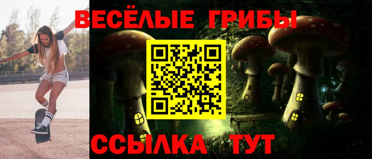 Псилоцибиновые грибы GOLDEN TEACHER Химки