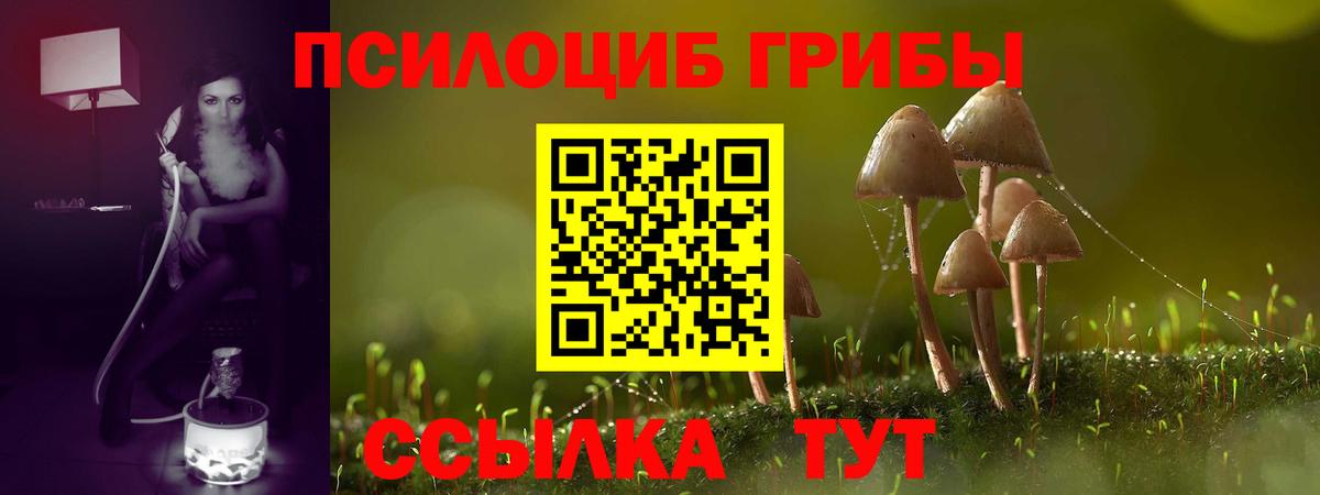 Химки  Галлюциногенные грибы MAGIC MUSHROOMS  где продают   Вход с VPN 